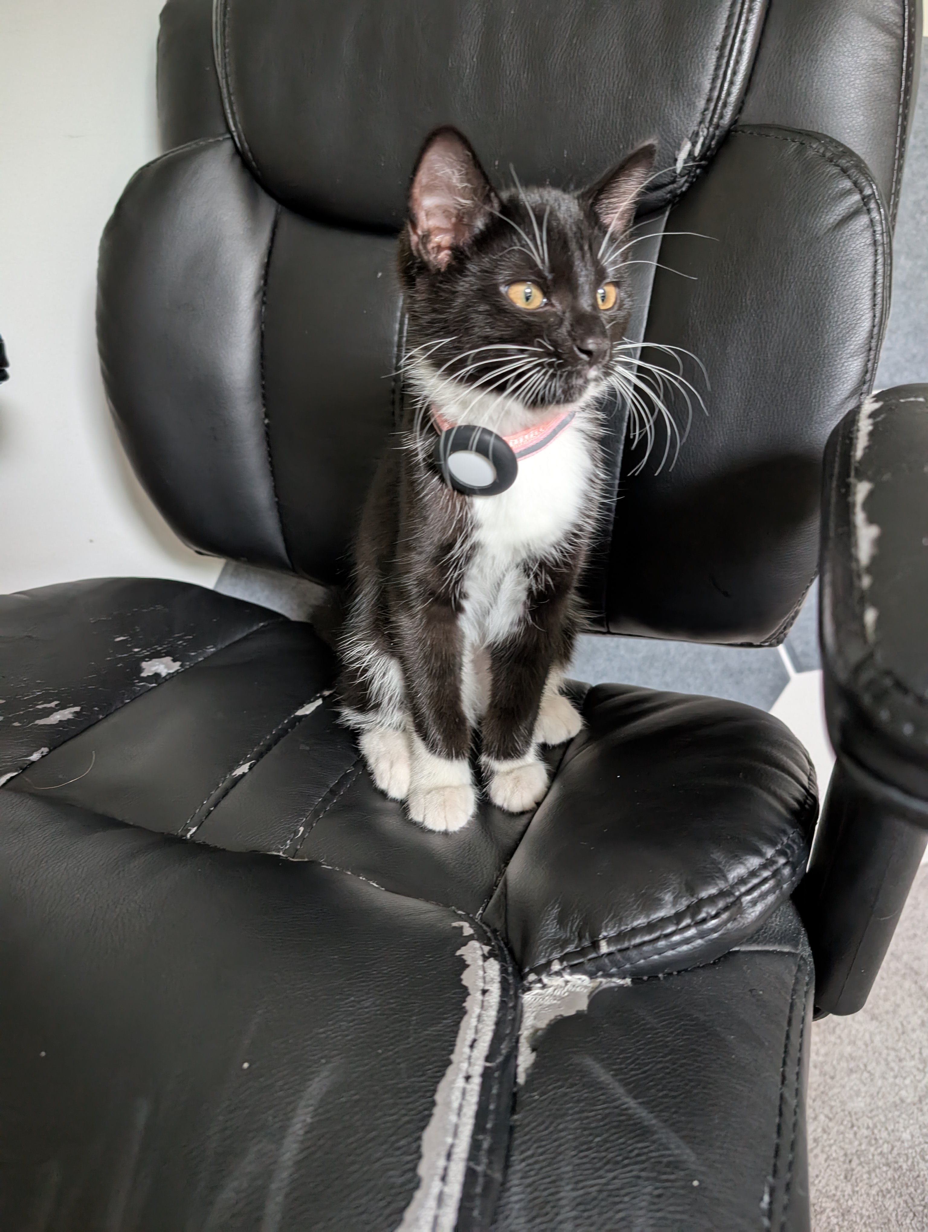 Friends & Family Photo